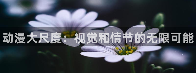 风车动漫动画：动漫大尺度：视觉和情节的无限可能