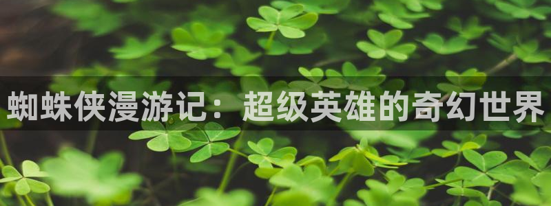 风车动漫官网手机在线：蜘蛛侠漫游记：超级英雄的奇幻世界