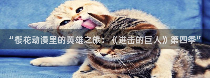 假面骑士build风车动漫：“樱花动漫里的英雄之旅：《进击的巨人》第四季”